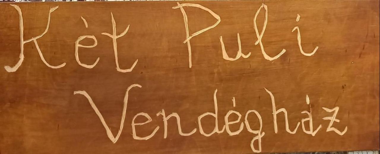 Ket Puli Vendeghaz Leilighet Bekescsaba Eksteriør bilde